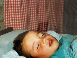 1984 KAMP HATTEM